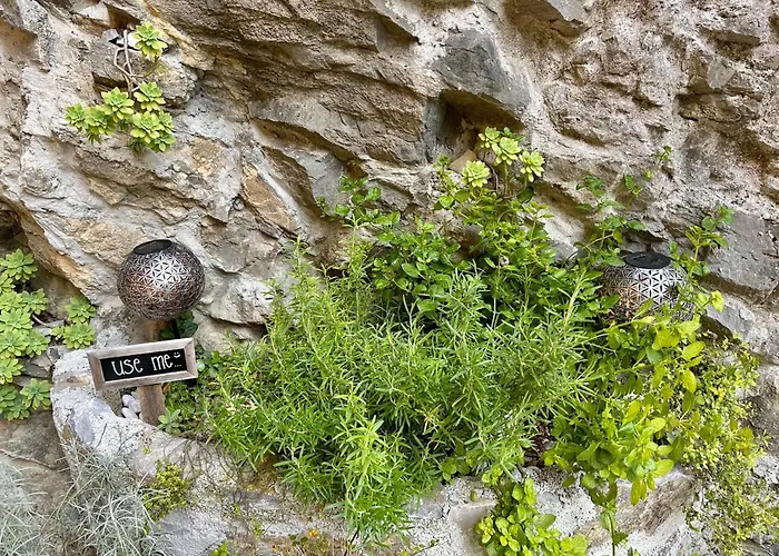 House - River Baca بيت للعطل موست نا سوتشي