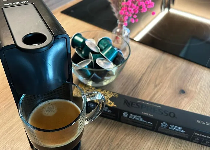 House - River Baca * Most Na Soci